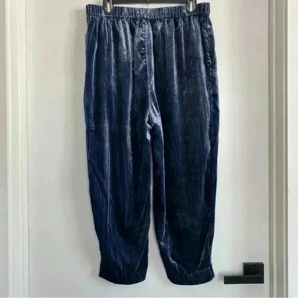 Anthropologie Ettitwa velvet velour blue pants MP - Picture 3 of 3